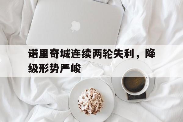 开云官网-诺里奇城连续两轮失利，降级形势严峻的简单介绍